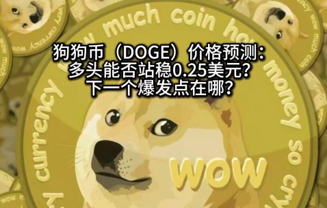 九游-专家称狗狗币将在年底冲破333美元，引发引发关注的简单介绍