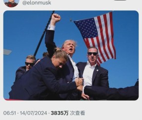 九游网页客户端-马斯克再次发推，SHIB瞬间上上扬26.31%的简单介绍