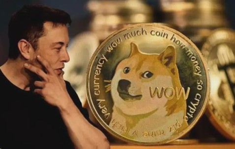 九游网页客户端-狗狗币紧急遇到安全漏洞，损失达到43万美元！的简单介绍