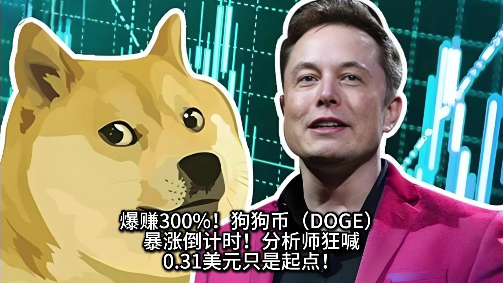 关于狗狗币投资骗局被揭发，已有超XRP人被骗！的信息