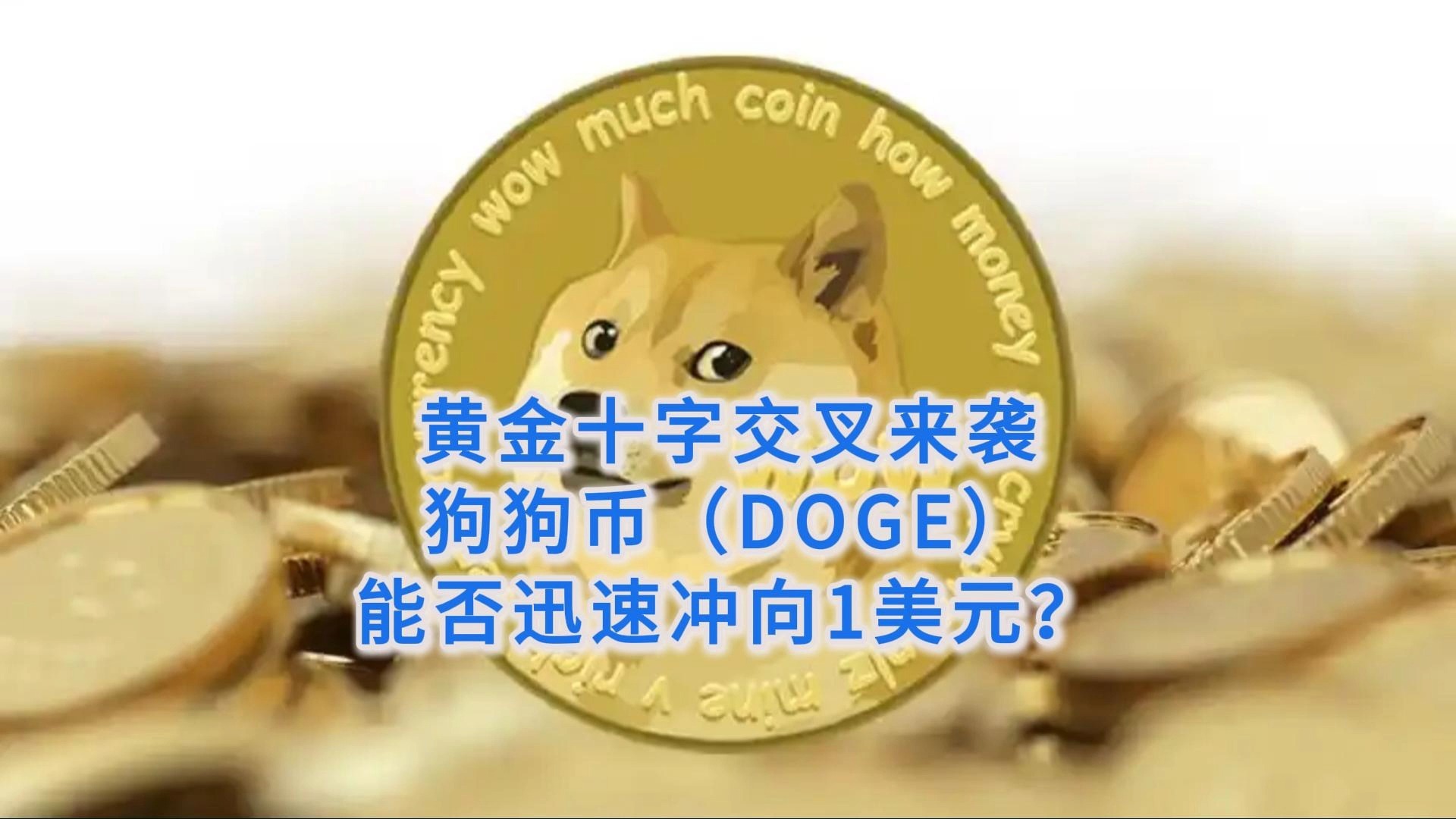 狗狗币紧急遇到安全漏洞，损失达到43万美元！的简单介绍